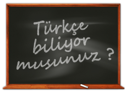 „Sollen die Deutschen eben Türkisch lernen“ – Grüne und die Parallelgesellschaft