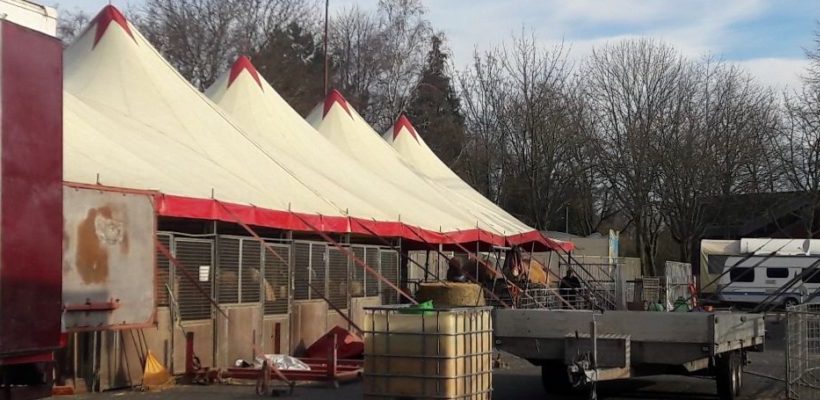 Bericht zur Kundgebung „Für einen Zirkus ohne Tiere!“ in Bedburg